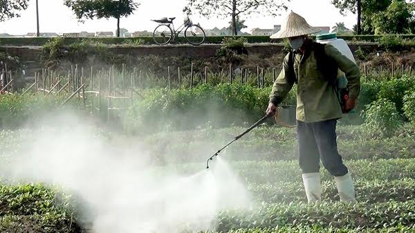 Vạch[-]mặt[-]sát[-]thủ[-]gây[-]ung[-]thư[-]ở[-]Việt[-]Nam